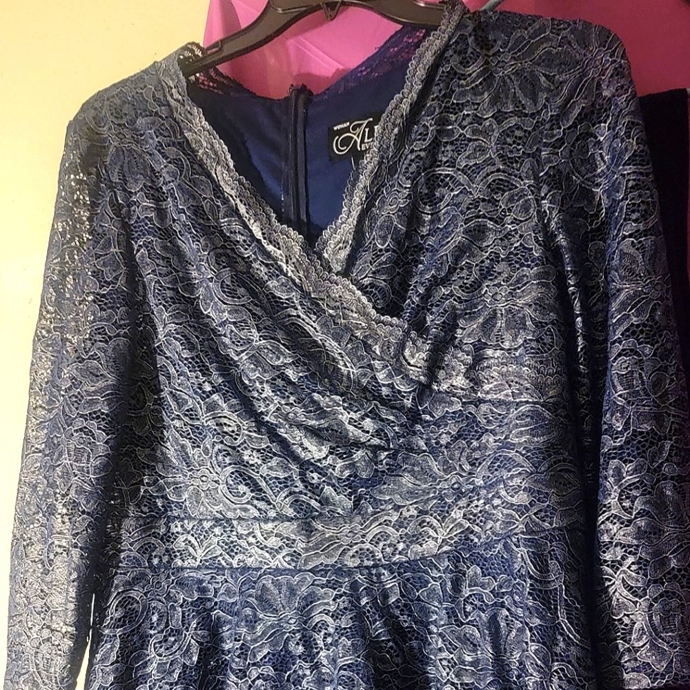 David's bridal size 16 Alex Evneings
